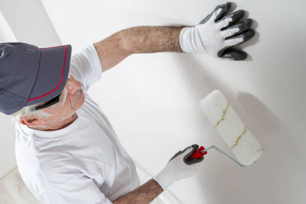 Best Mold Odor Removal Services  in Wheeling, WV