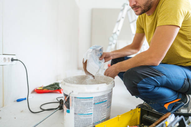 Best Environmental Consulting for Mold Prevention  in Wheeling, WV