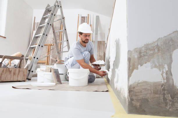 Best Biohazard Mold Removal  in Wheeling, WV