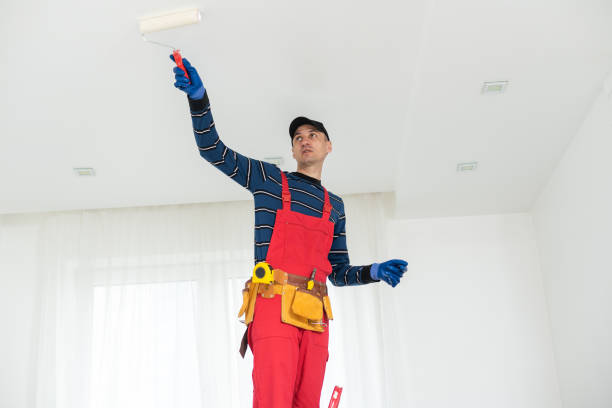 Best Crawl Space Mold Remediation  in Wheeling, WV