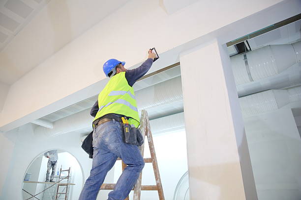 Best Mold Prevention Services  in Wheeling, WV